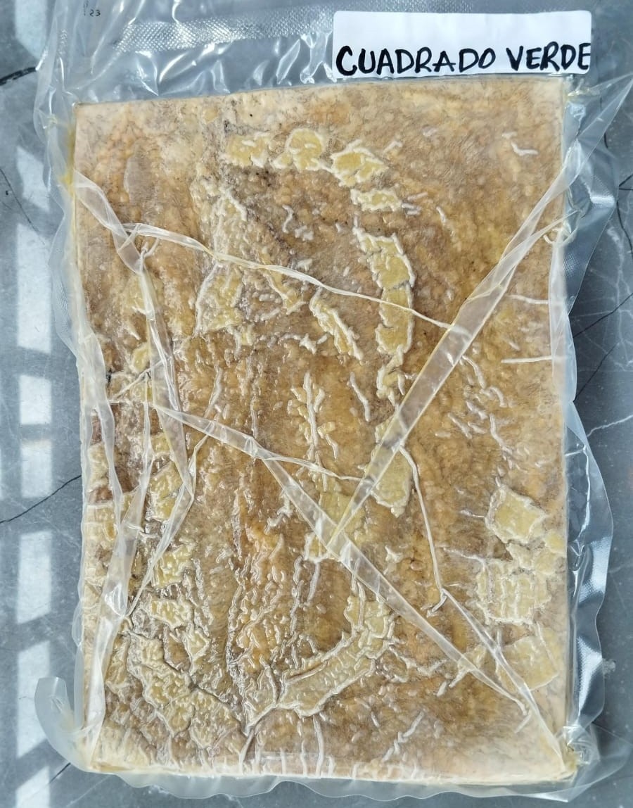 CUADRADO VERDE